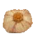 Transparent Bullet